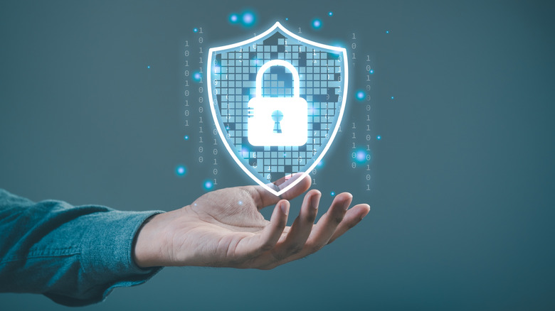 Shield icon representing privacy and security