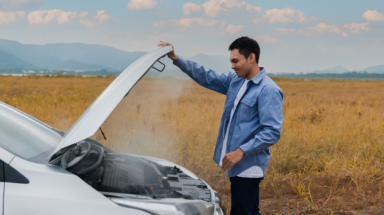 person looking into engine bay