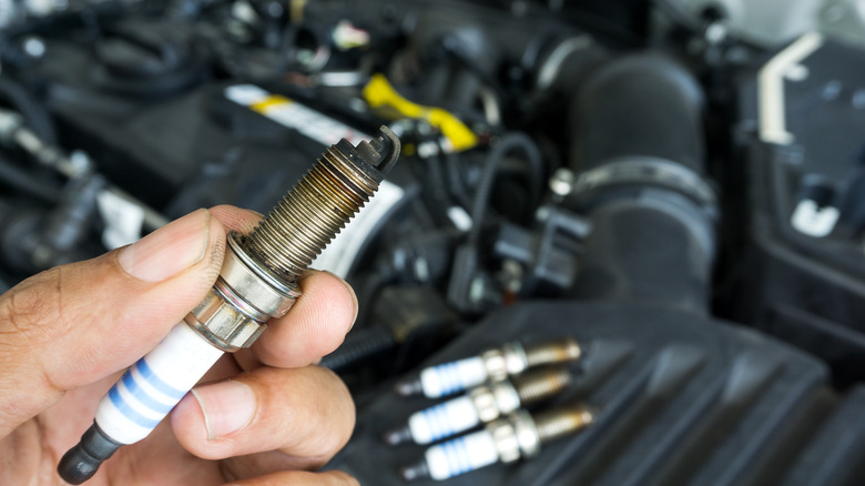 holding spark plug over engine 