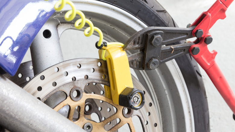 A bike lock and bolt cutters