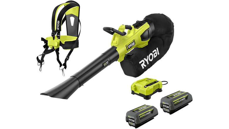 A stock image of a Ryobi 40V leaf vacuum