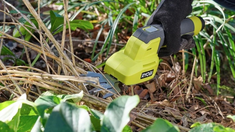 Person using Ryobi Lithium Shrubber