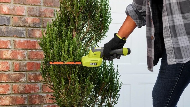 Person using Ryobi USB Lithium shear/shrubber