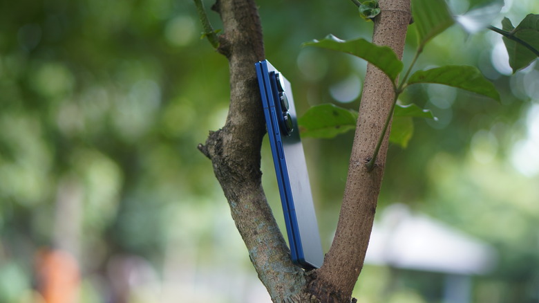 A Galaxy Z Fold 7 resting on a tree branch