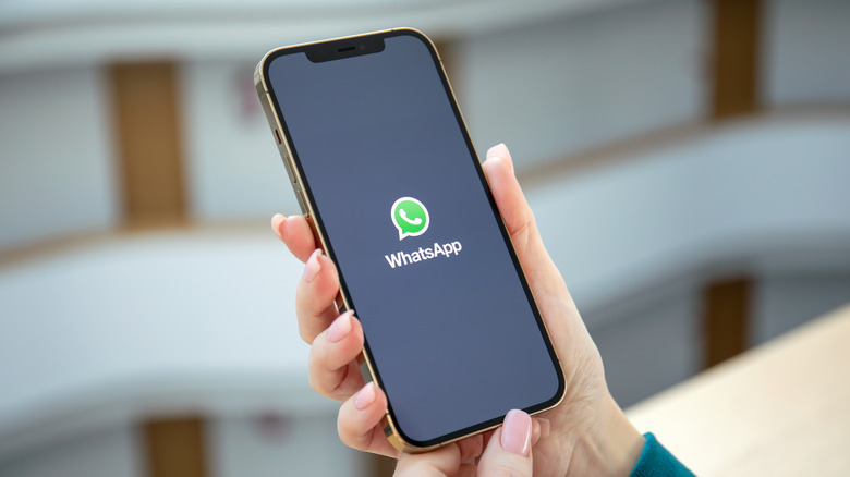 WhatsApp's mascot on iPhone 14 Pro