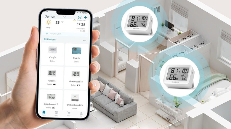 Govee digital hygrometer
