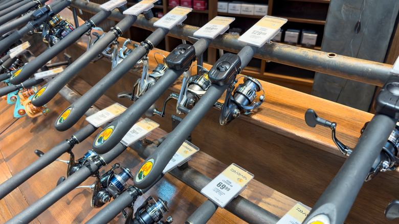 Bass Pro Shops display of fishing rods for sale.