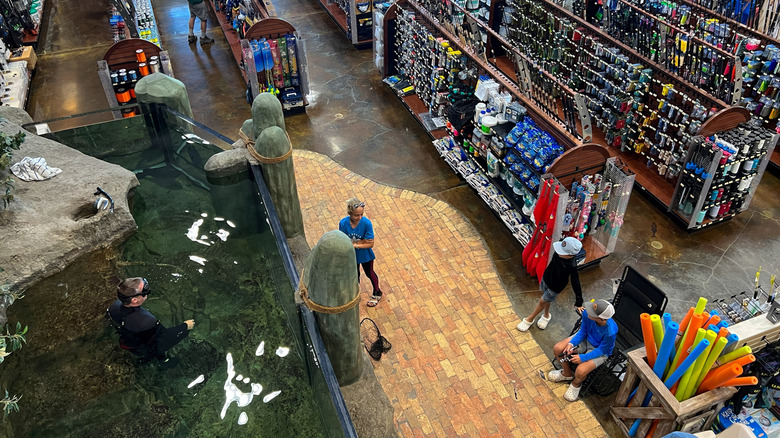 Bass Pro Shops interior in Islamorada, FL.
