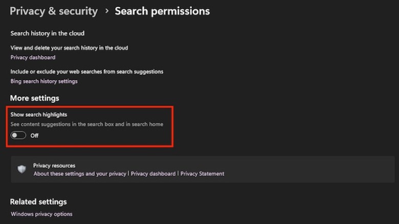 Show search highlights option toggled off in Windows 11 Settings app.