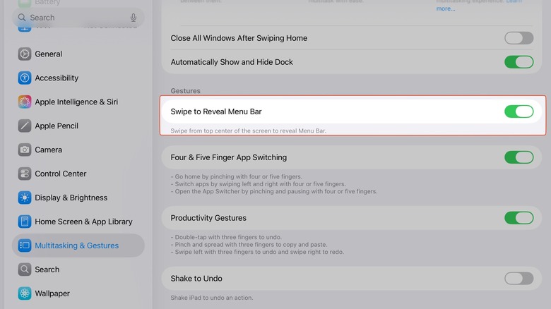 Menu bar toggle in iPad settings