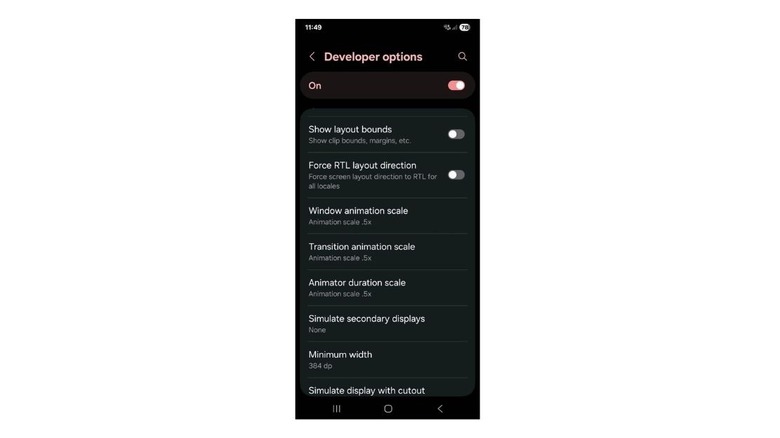 Developer options