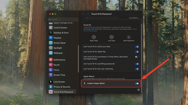 Apple Watch settings on Mac
