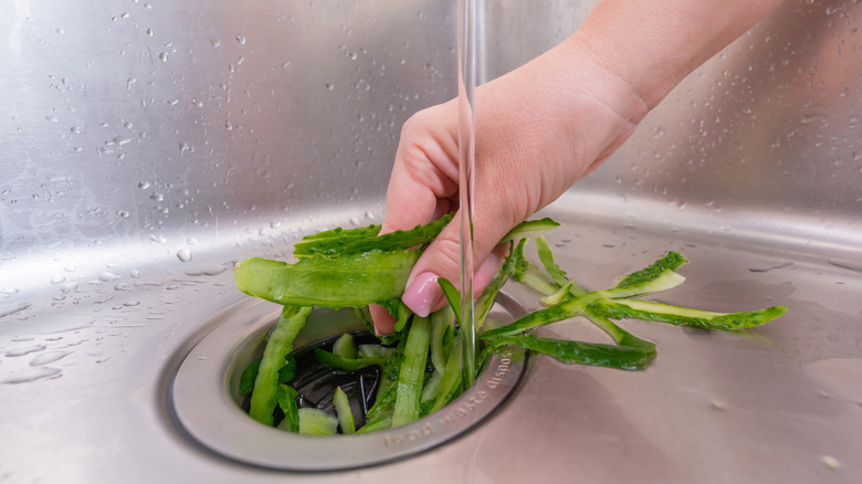 Person putting food into their kitchen's garbage disposal