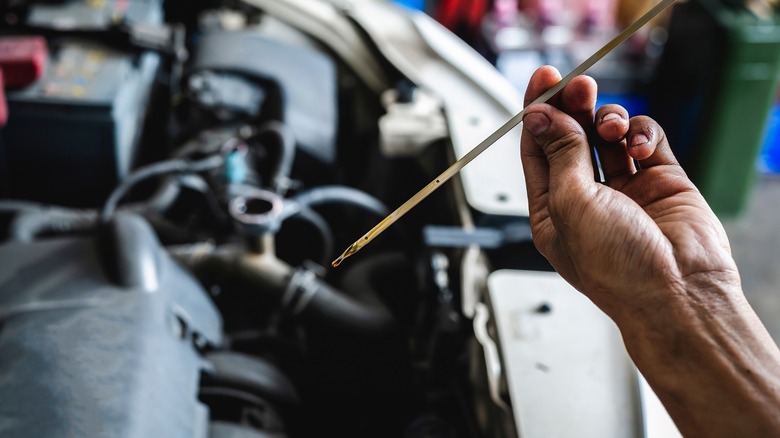 mechanic checking dipstick with low oil