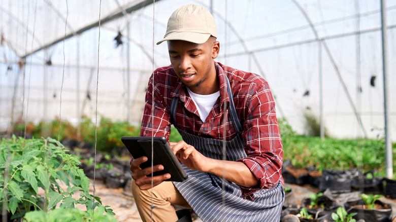 Gardener using tablet