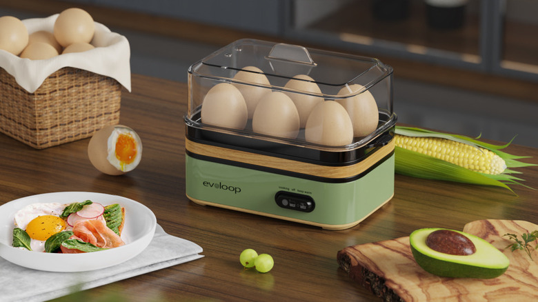 evoloop green egg cooker
