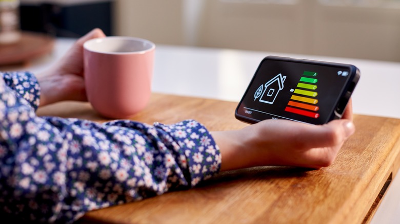 woman checking energy consumption
