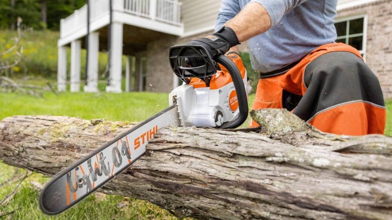 cutting fallen tree branch with Stihl MSA 220 C-B chainsaw