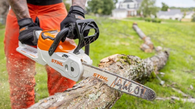 cutting with Stihl MSA 60 C-B chainsaw