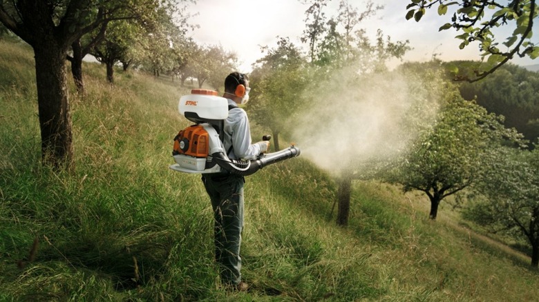 Person using a Stihl sprayer as a mister
