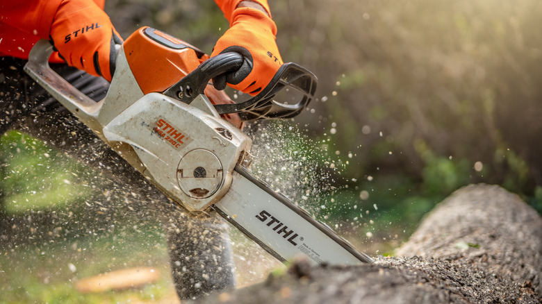 A person using a Stihl chainsaw on a felled tree.
