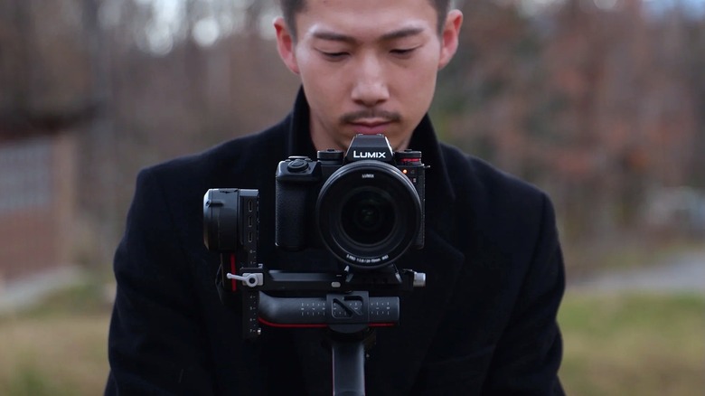 Person using a Lumix camera to take photographs