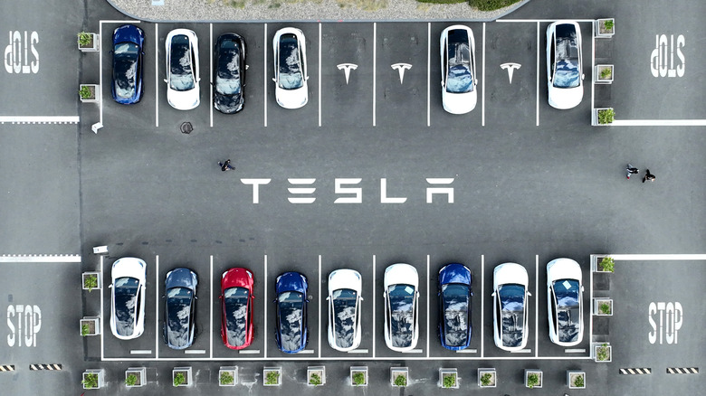 Tesla cars in parking lot