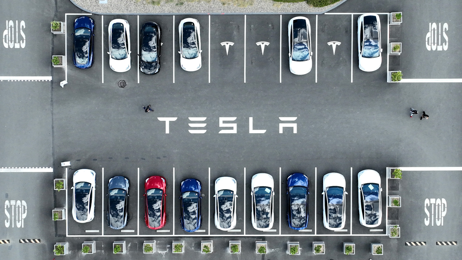 5 Tesla Features That Make These EVs Stand Out From The Crowd – SlashGear