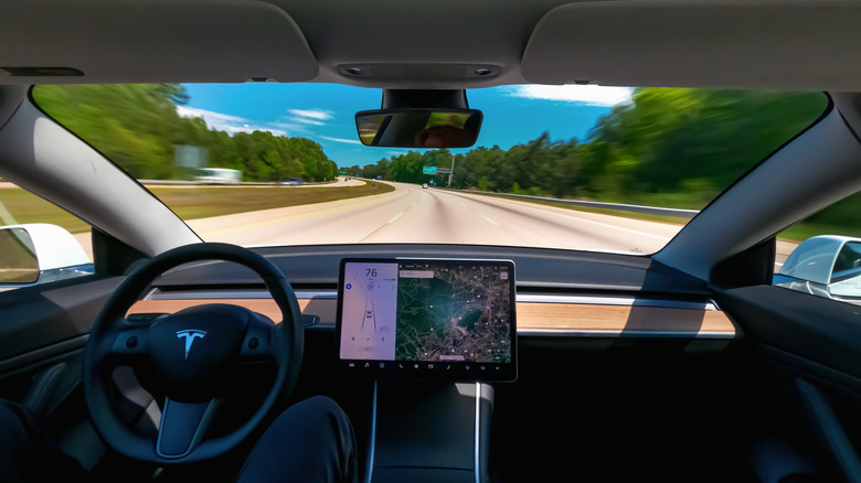 view from tesla driver's seat