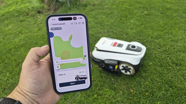 Man holding a phone with an app open controlling a robot mower