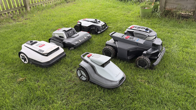 Six robot mowers on a lawn