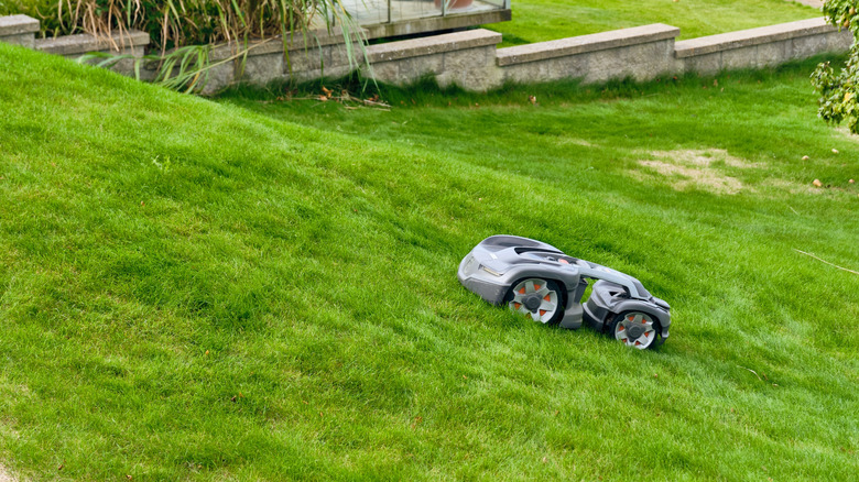 A grey robotic lawnmower navigating a steep, grassy incline next to a stone retaining wall