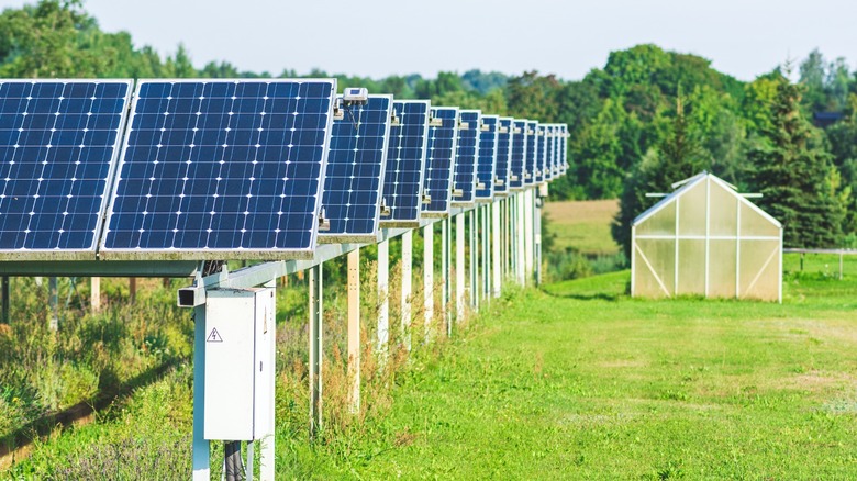 solar panels with greenhouse in background