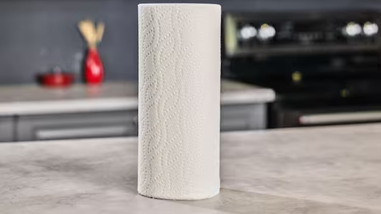 A paper towel roll from Home Depot's HDX brand.