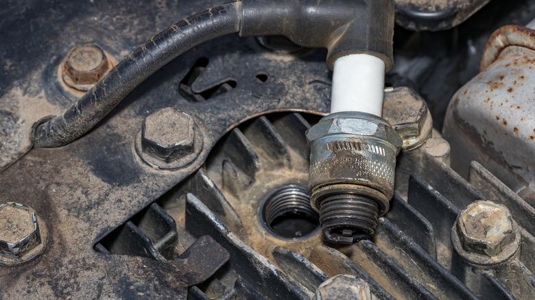 spark plug and small engine