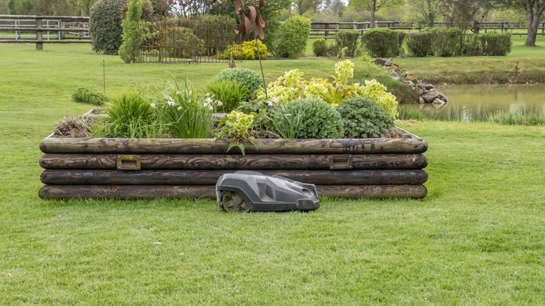 Robot lawn mower trimming near the side of a garden.