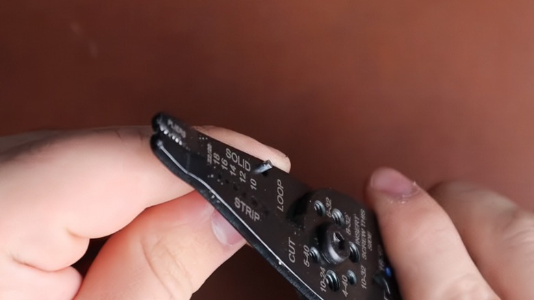 a person using the loop feature on wire strippers