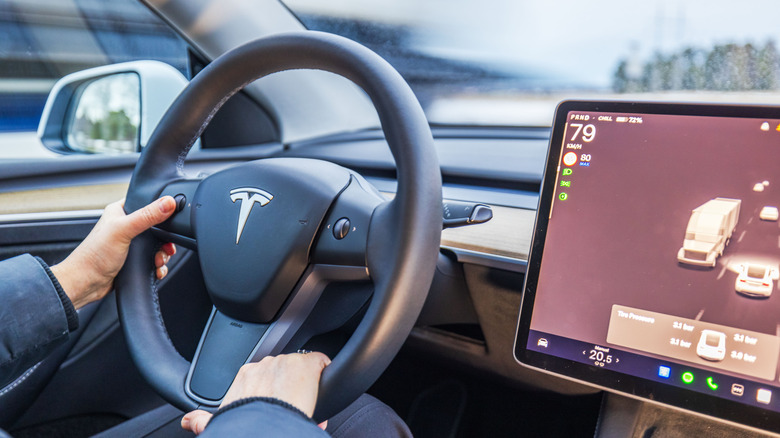 Person driving Tesla while pressing steering wheel button