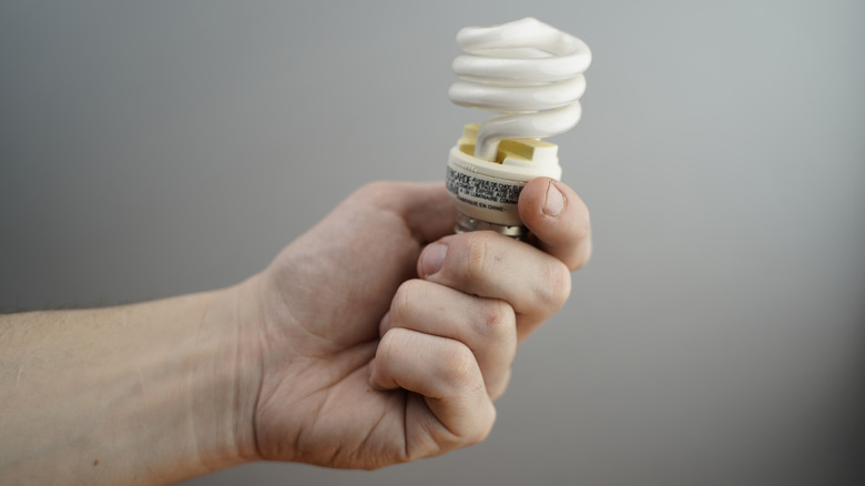 A hand holding a spiral CFL bulb