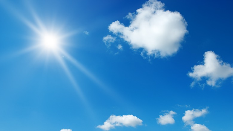 daylight sky