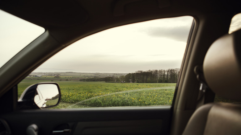 View out a car window