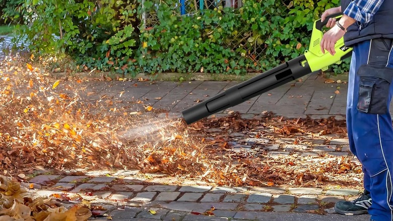 A man using a leaf blower on leaves.
