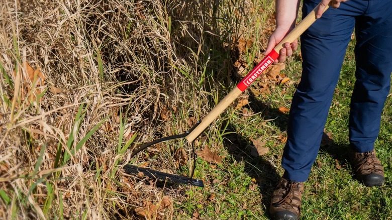 Craftsman Long-Handle Grass/Weed Cutter in use