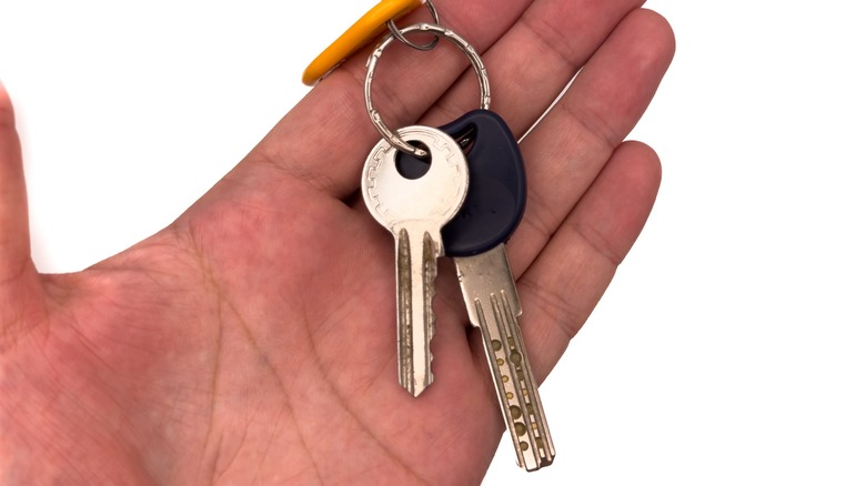 Hand holding a keyring with two keys and a yellow tag