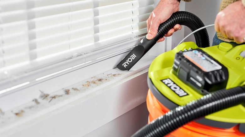 Person vacuuming with a Ryobi 18V One+ Bucket Top Wet//Dry Vacuum