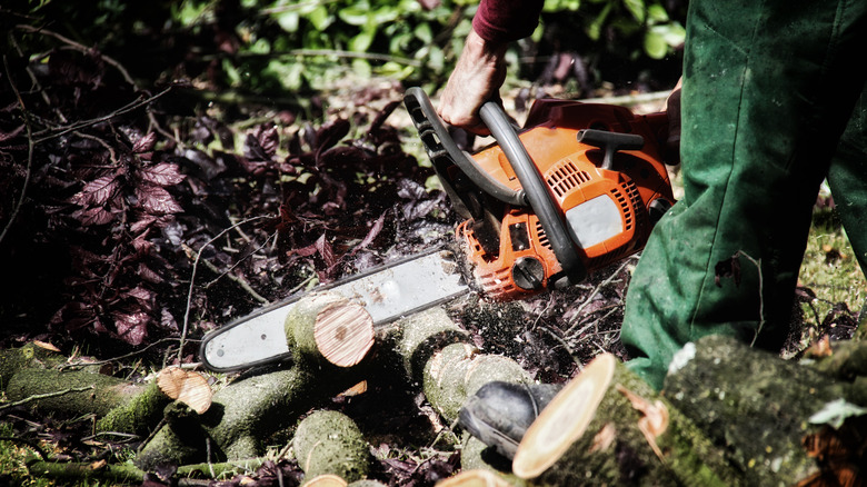 cutting tree branches with chainsaw