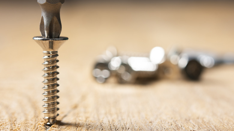 screwdriver bit driving a screw