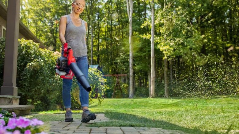 a person using the craftsman b2000 leaf blower