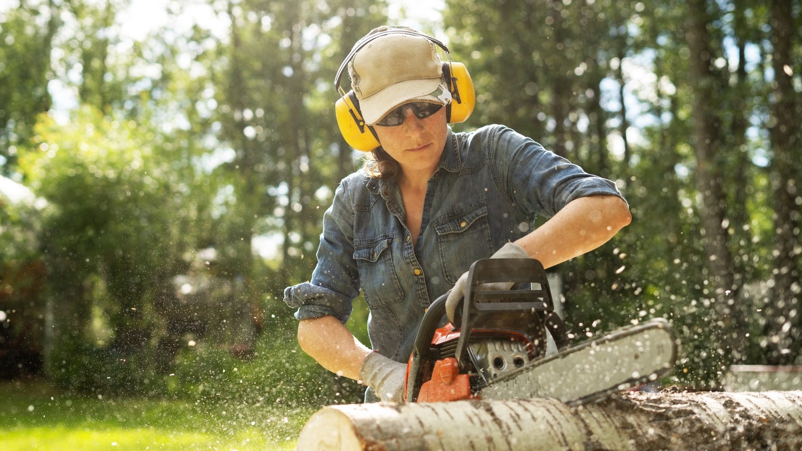 5 TopRated Chainsaws You Can Find At Ace Hardware