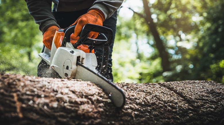 person using a chainsaw